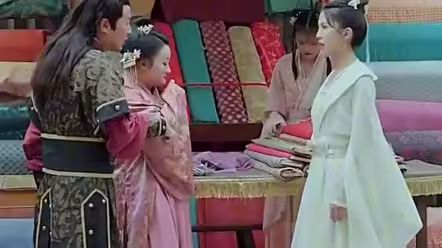 欢颜知君心 第41-60集