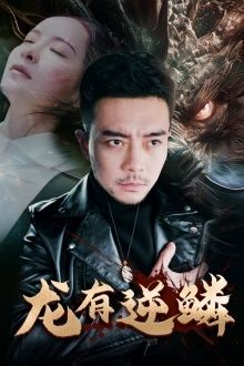 龙有逆鳞 第61-81集完结(大结局)