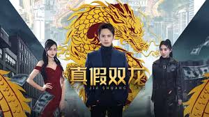 真假双龙 归龙 冒牌赘婿第 第01集