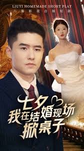 七夕我在结婚现场掀桌子 第19集