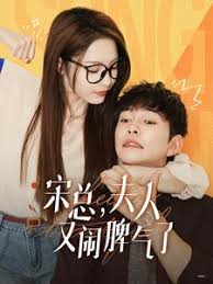 宋总，夫人又闹脾气了 第16集