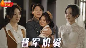 督军炽爱 第01-30集