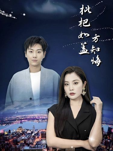 枇杷如盖方知悔 第01-30集(大结局)