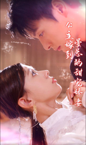 公主嫁到，晏总的甜宠娇妻 全集 (下)